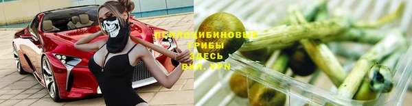 МДПВ Алексеевка